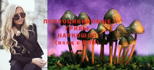 молекула духа Майский
