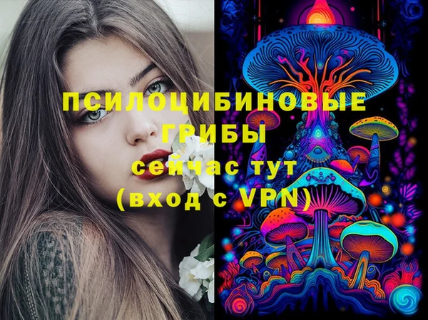 молекула духа Майский