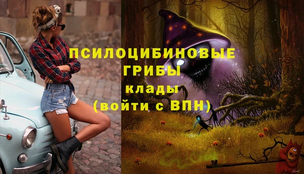 хмурый Магадан