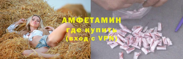 молекула духа Майский